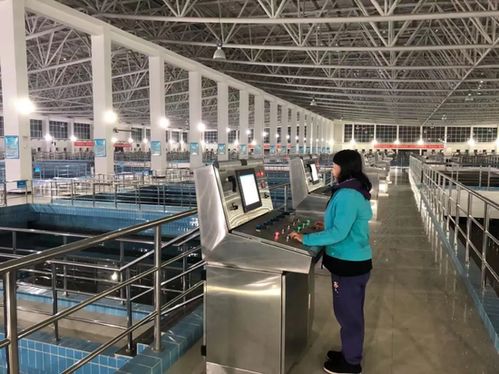 长春市水务集团全力以赴应对极端天气，保障城市供水生命线